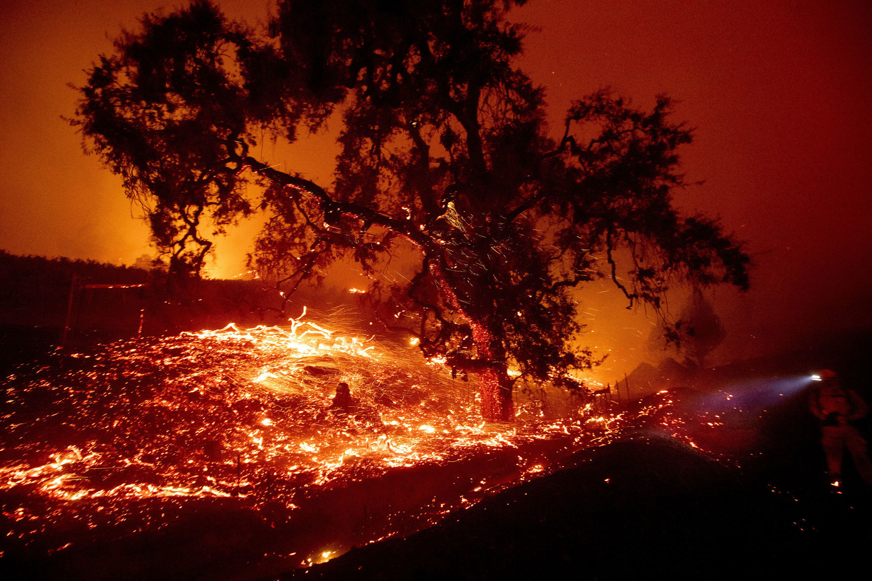 California wildfires